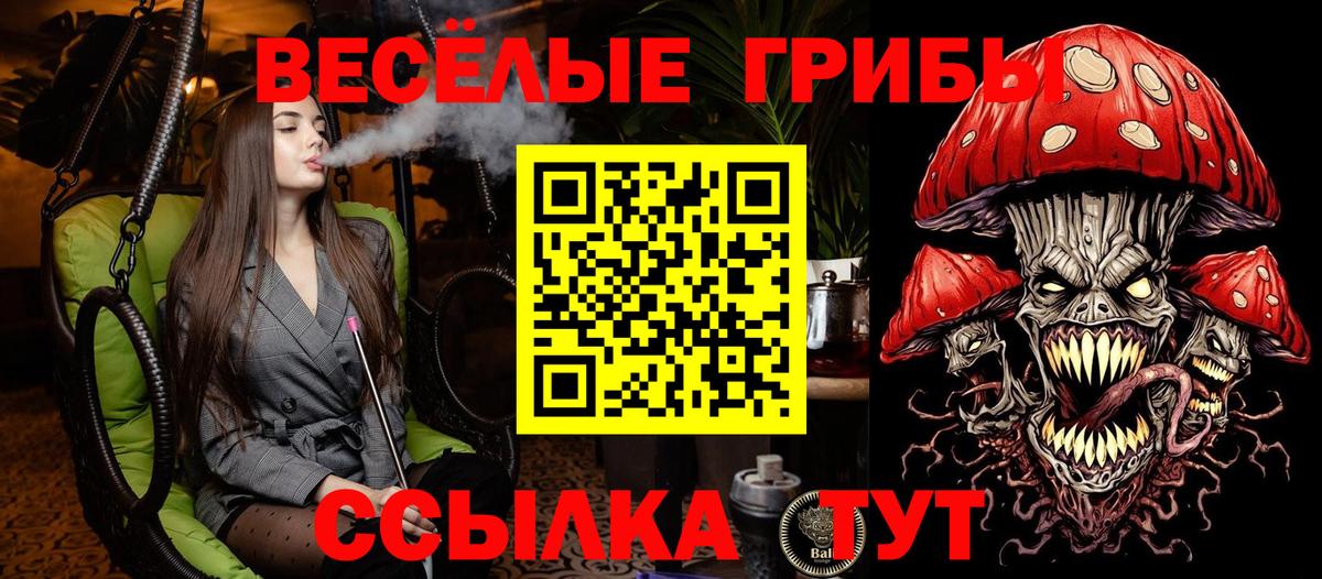 Галлюциногенные грибы мицелий  Вход с VPN  Нижнекамск 